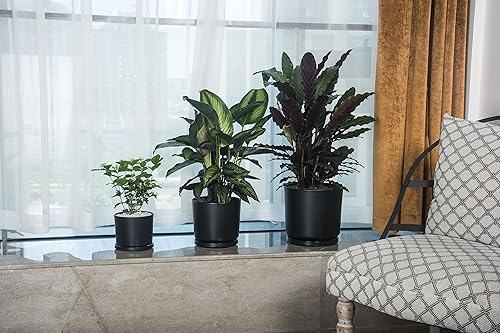 Miniatura 6 de Ekirlin - Macetas de 9 pulgadas para plantas, macetas de cerámica para plantas en interiores, contenedores modernos de suculentas con platillo de