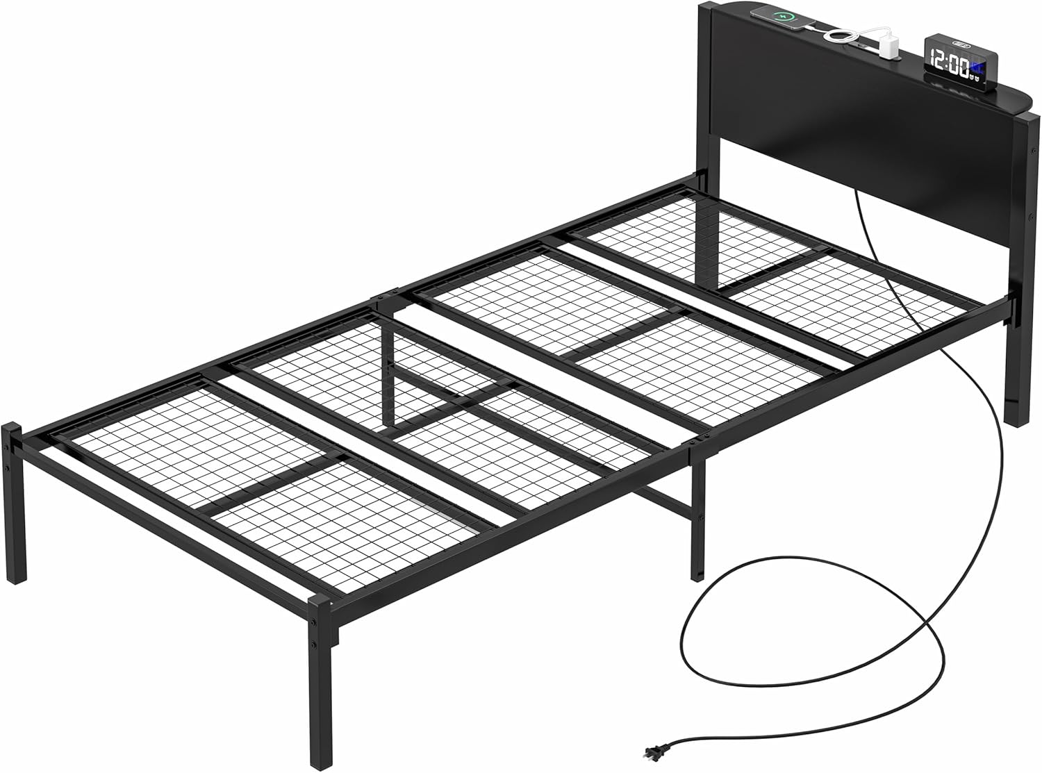 信州産　紅ルバーブ　　キロ以上　ブルーベリーおまけプレゼント♪ 信州産紅ルバーブキロ以上ブルーベリーおまけプレゼント♪ 信州