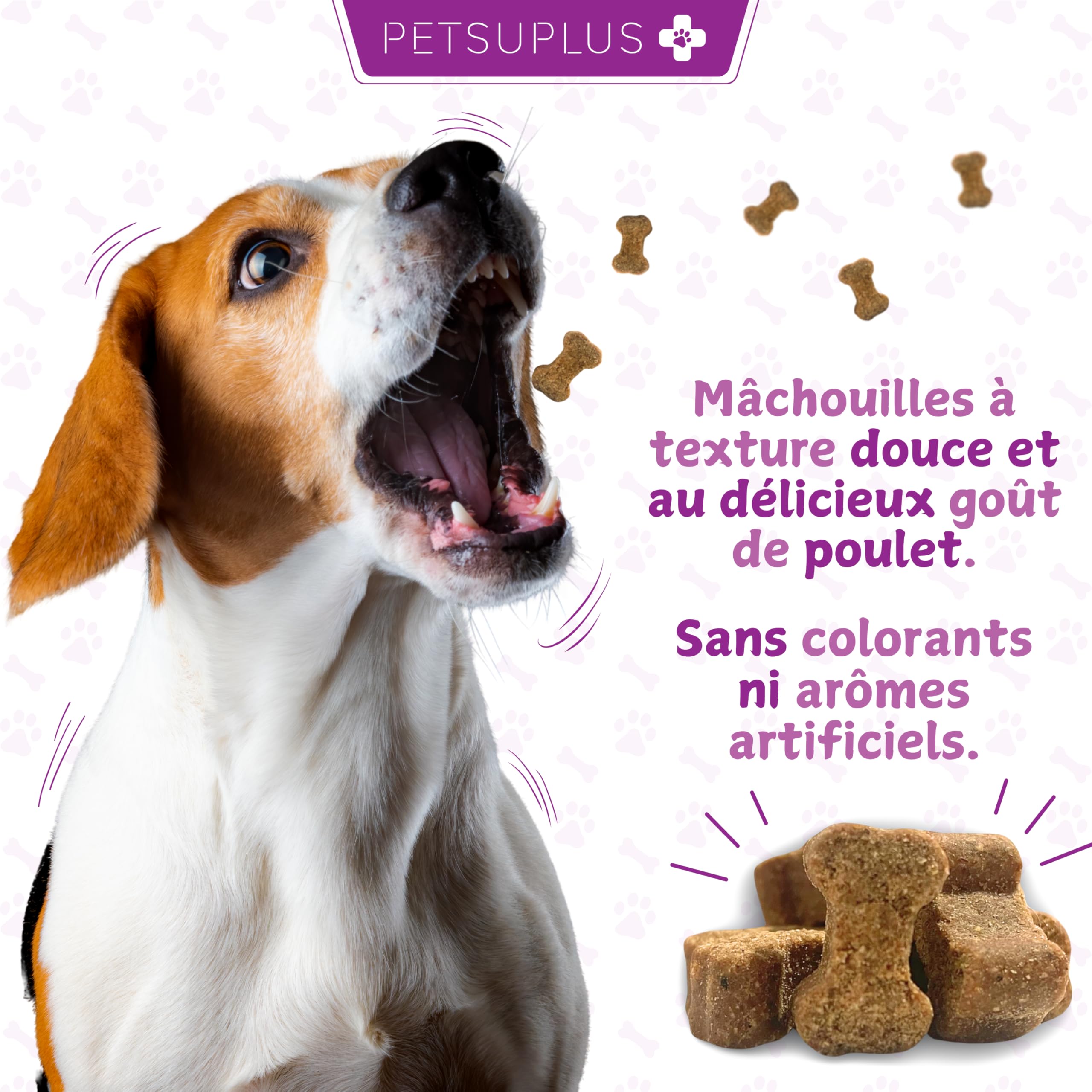 Probiotique Chien - Complement Alimentaire Chien pour la Digestion - Probiotiques Santé Flore Intestinale et Système Immunitaire - Anti Diarrhée, Gaz et Vomissements - 120 Comprimés
