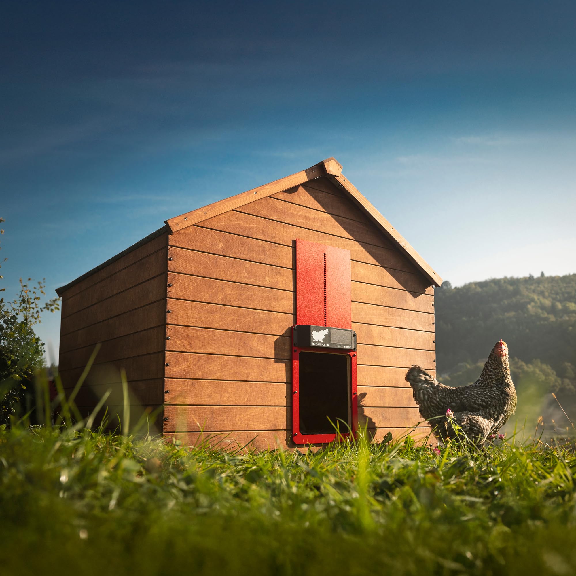 RUN-CHICKEN Porta (rosso) solare per pollaio, alimentato a batteria, porta automatica per pollaio, porta elettrica programmabile con timer, sensore di luce, alimentazione solare, Eternal