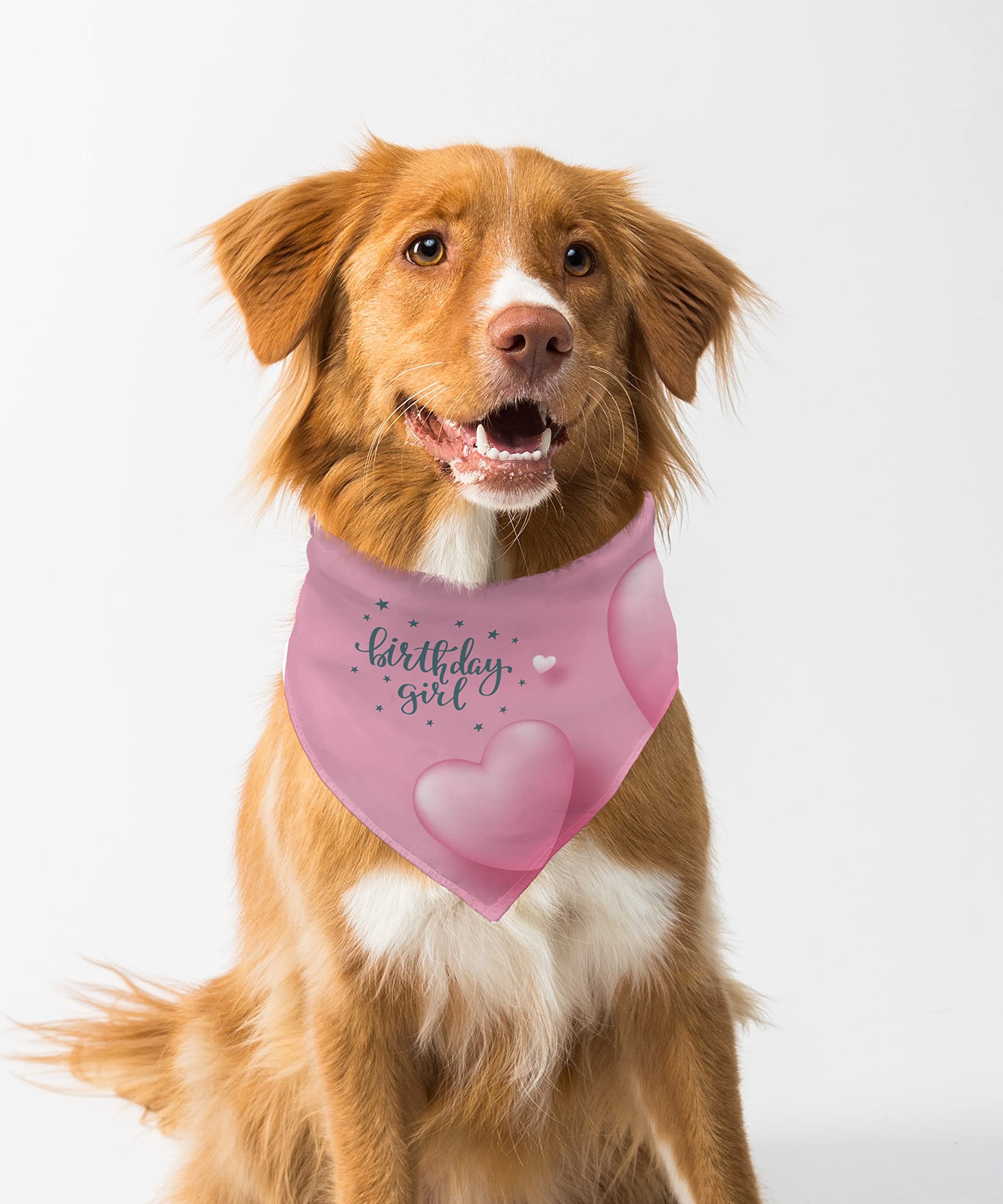 See full amazon price history chart for Farnup Adjustable & Comfortable Dog Bandana,Birthday Girl, Graphic Printed Bandana for Dogs | Dog Scarf, Accessory | Gifts for Dogs-S/M Farnup Adjustable & Comfortable Dog Bandana,Birthday Girl, Graphic Printed Bandana for Dogs | Dog Scarf, Accessory | Gifts for Dogs-S/M (B0BVHG9LNQ) Amazon Price History, Amazon Price Tracker