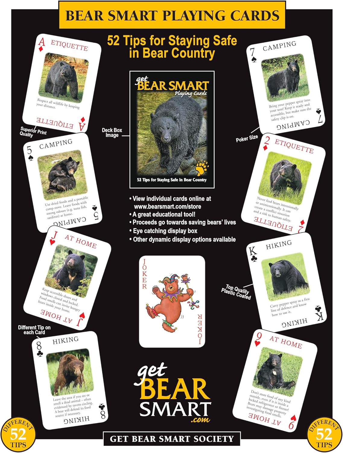 Discover Series Fun Playing Cards - Informational & Educational (Bear Smart)