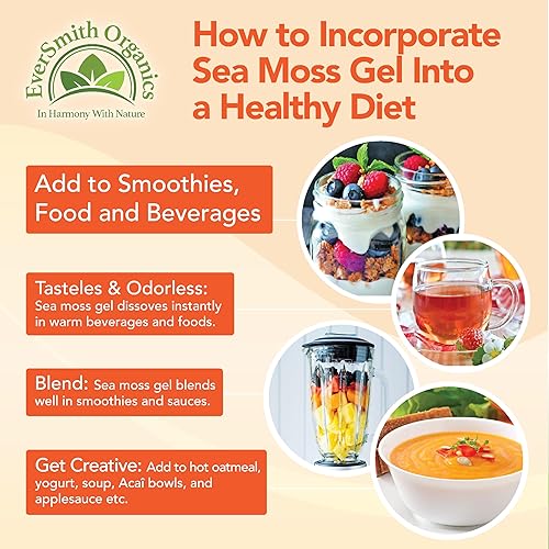 Miniatura 4 de EverSmith Organics Musgo marino irlandés silvestre de Santa Lucía Hace gel de 160 onzas Superalimento dorado crudo Musgo marino seco