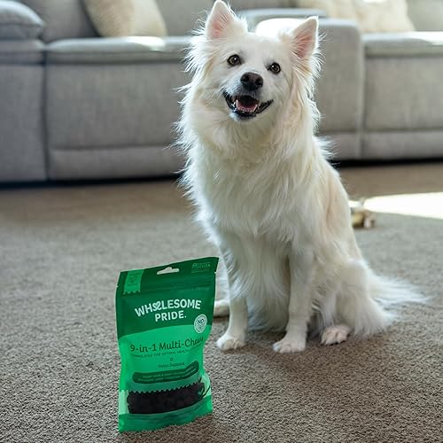 Miniatura 6 de Wholesome Pride Masticables blandos multifuncionales 9 en 1 para perros  Alivio del dolor articular, apoyo de cadera y articulaciones, sistema