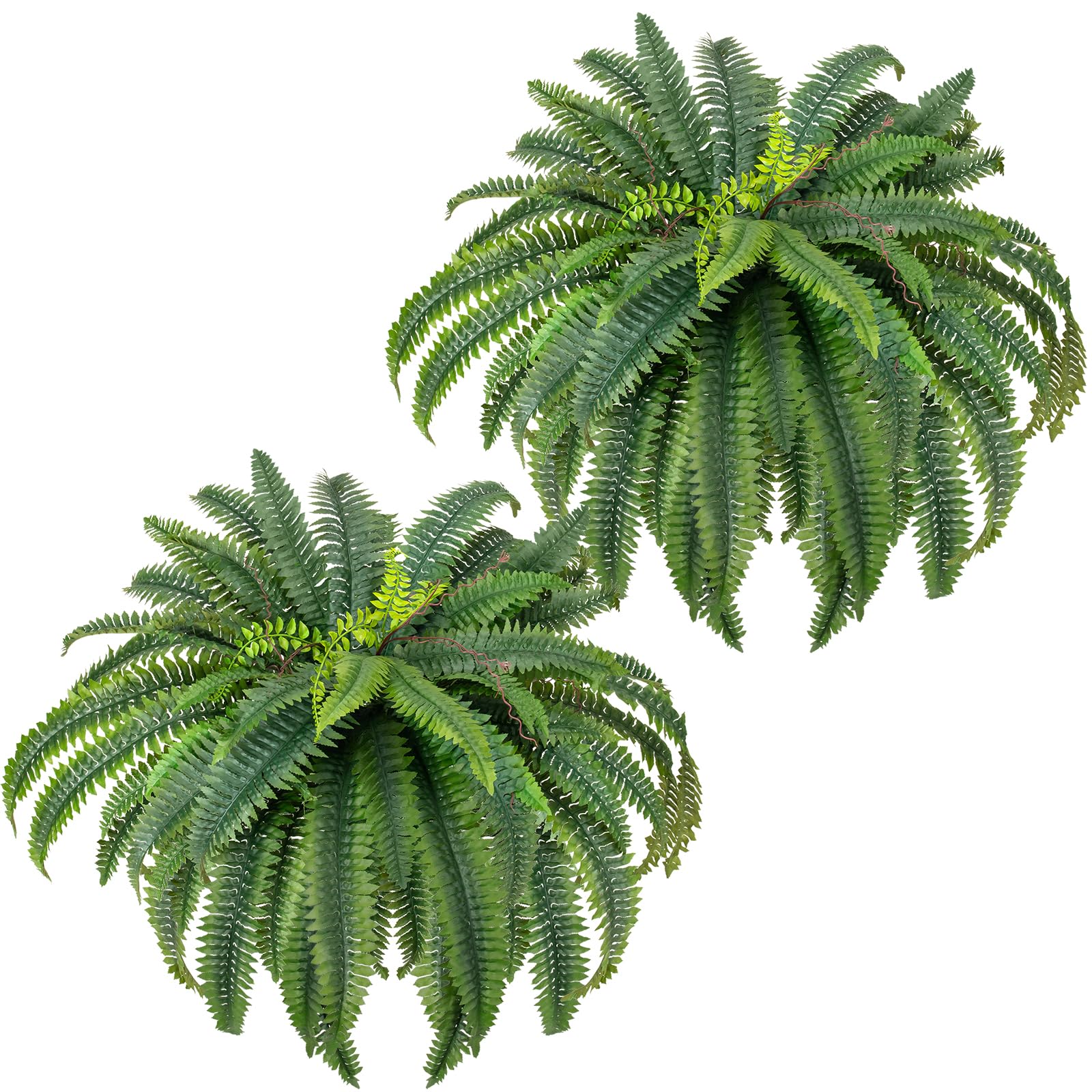 CQURE 45 Fake Ferns