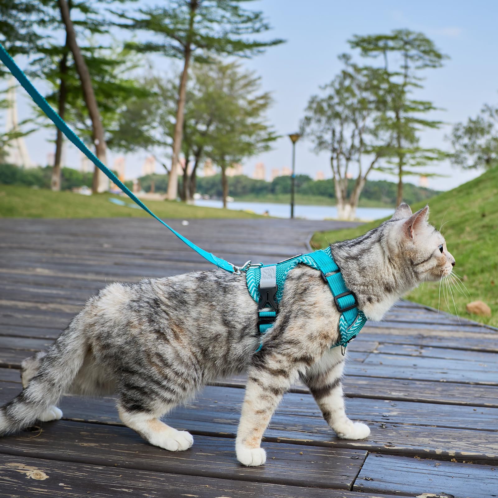 Pettorina e guinzaglio per gatti a prova di fuga, piccola imbracatura abissino per gatti abissini, per passeggiate e viaggi, turchese, S