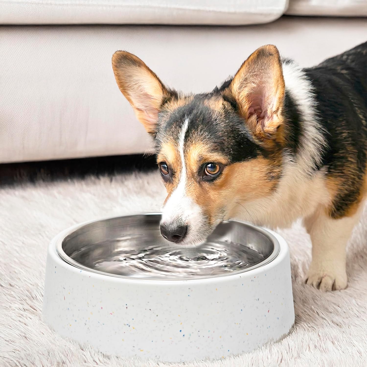 bzyoo 32oz 4CUP Dog & Cat Bowl, Sprinkle Design, Hygienic 304 Stainless Steel Pet Bowl with Removable Inner Bowl, Non-Slip Silicone Base, Dishwasher Safe, for Dry/Wet/Raw Food & Water (White)