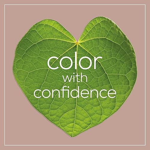 Miniatura 6 de Naturtint Color permanente para el cabello 2N marrón negro paquete de 3 sin amoníaco vegano libre de crueldad hasta 100 cobertura de canas