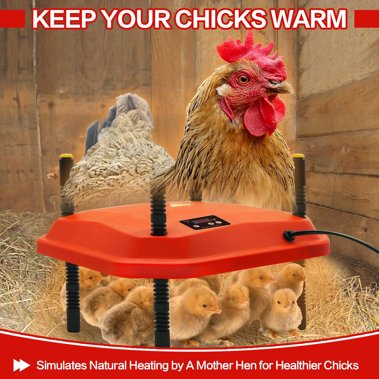 Snapklik.com : GIFANK Chicken Brooder Heating Plate For Chicks And ...