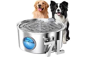 7L Recirculating Dog Water Bowl: Clean, Healthy Hydration for Your Furry Friend