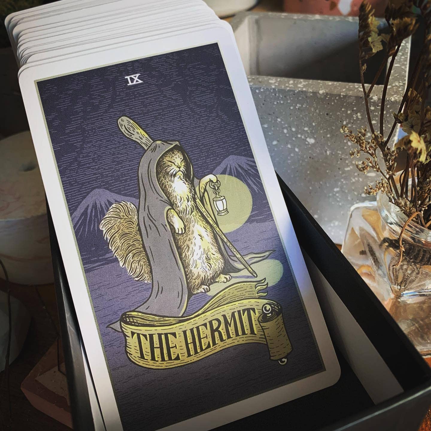 Amazon.co.jp: Atesswy ストレイキャットタロット - 猫好きのための