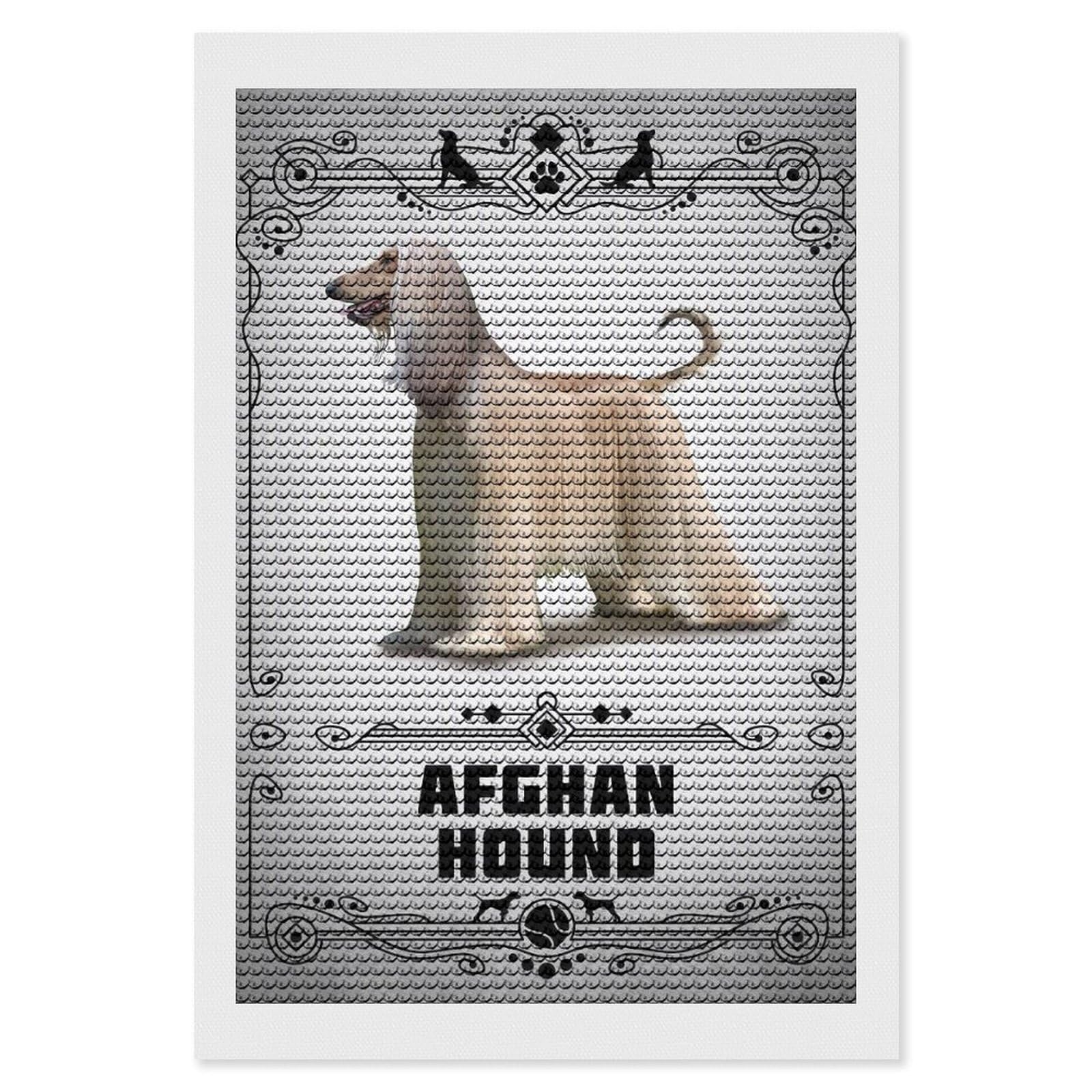 Junmoney Afghan Hound Diamond Painting Canvas Set 8"x12", Easy to Enjoy, Adhesive Canvas, Office Decor, Holiday Gift Idea, with Tool Kit