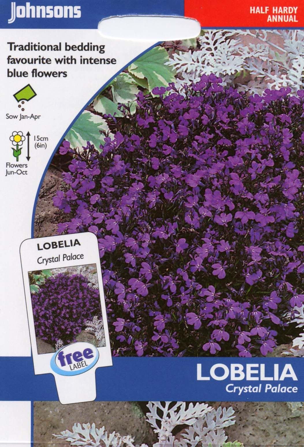 JohnsonsSeeds - Pictorial Pack - Flower - Lobelia Crystal Palace - 2500 Seeds