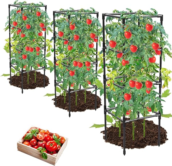 MQHUAYU Tomato Cages, Square Tomato Plant Stakes Support Cages Trellis for Garden Climbing Vegetables Flowers Fruits,Ext