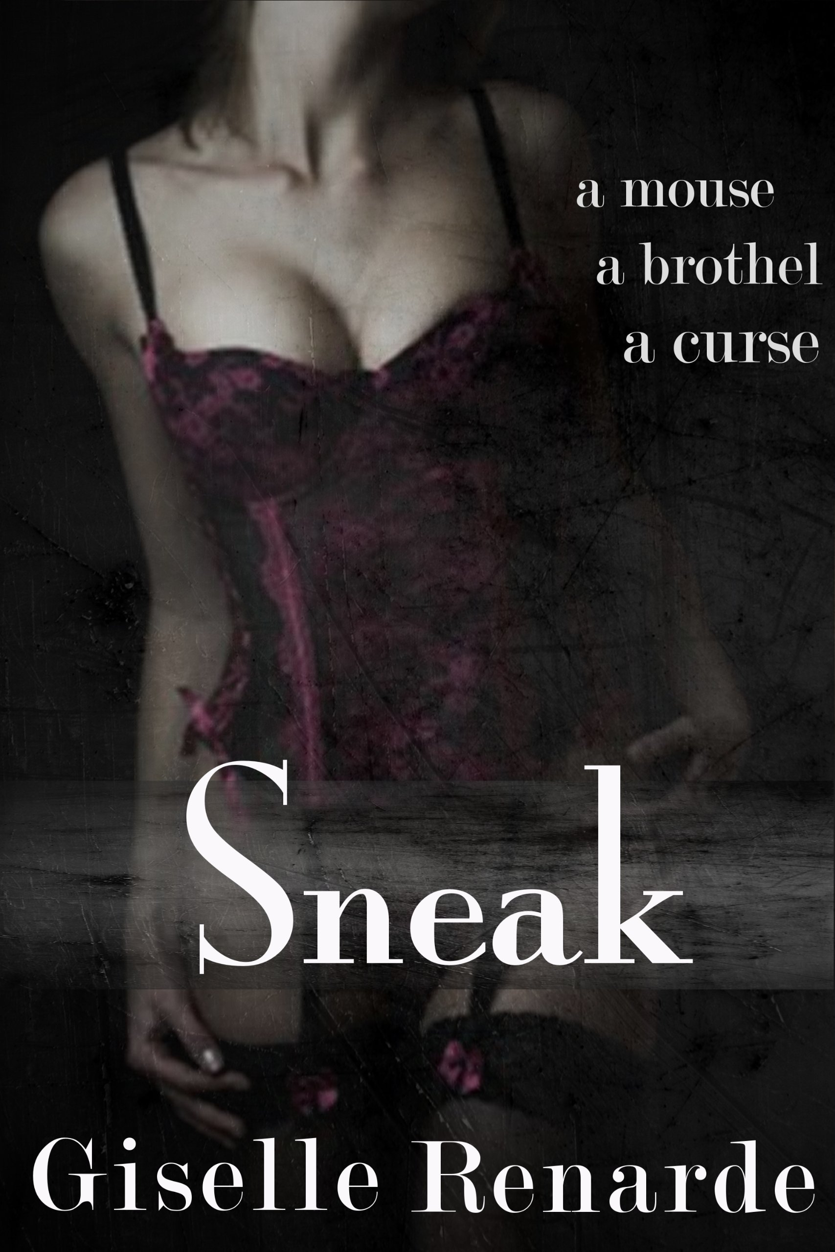 Sneak (Paranormal Erotic Shorts Book 0)