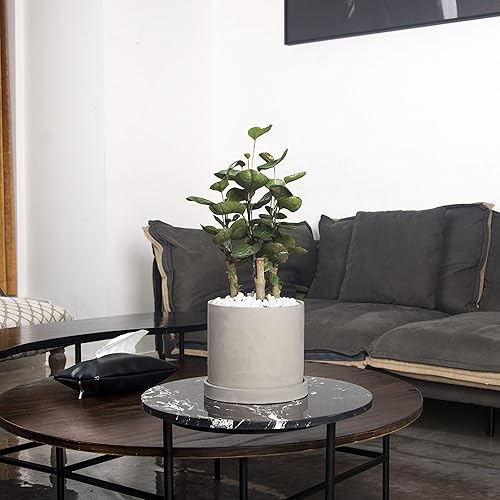 Miniatura 5 de Ekirlin Maceta para Plantas con Flores de 6 Pulgadas para Interiores - Maceta de Jardín de Cemento Gris, Maceta de Concreto con Orificio de Drenaje