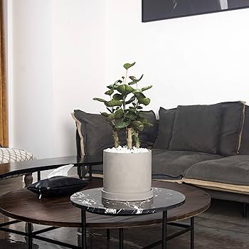 Amazon | Ekirlin 植木鉢 鉢 セメント 8号 おしゃれ 大型 植物