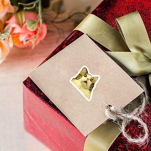 Miniatura 6 de Calcomanías de meme (500 unidades), 10 hojas de calcomanías de dibujos animados de estética, sellos autoadhesivos para niños, niñas, niños,