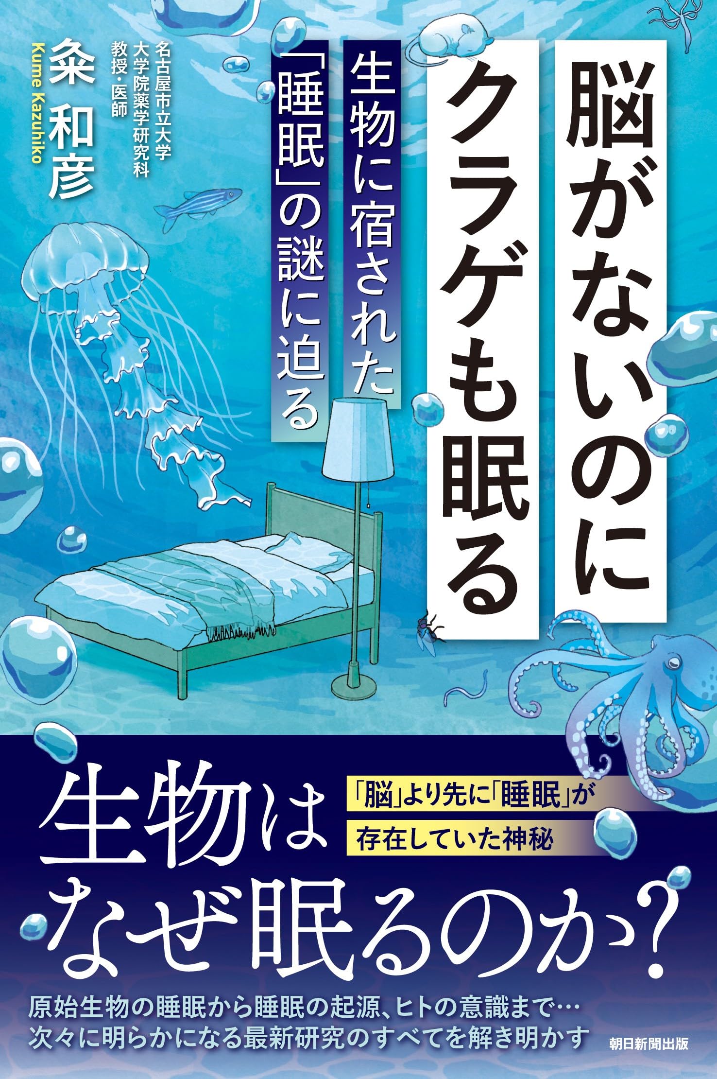 脳がないのにクラゲも眠る 生物に宿された「睡眠」の謎に迫る (朝日