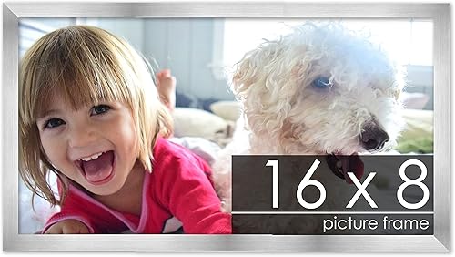 Miniatura 244 de Marco de 28 x 36 pulgadas de madera de peltre plateado con plexiglás acrílico UV, parte trasera de tablero de espuma y accesorios incluidos