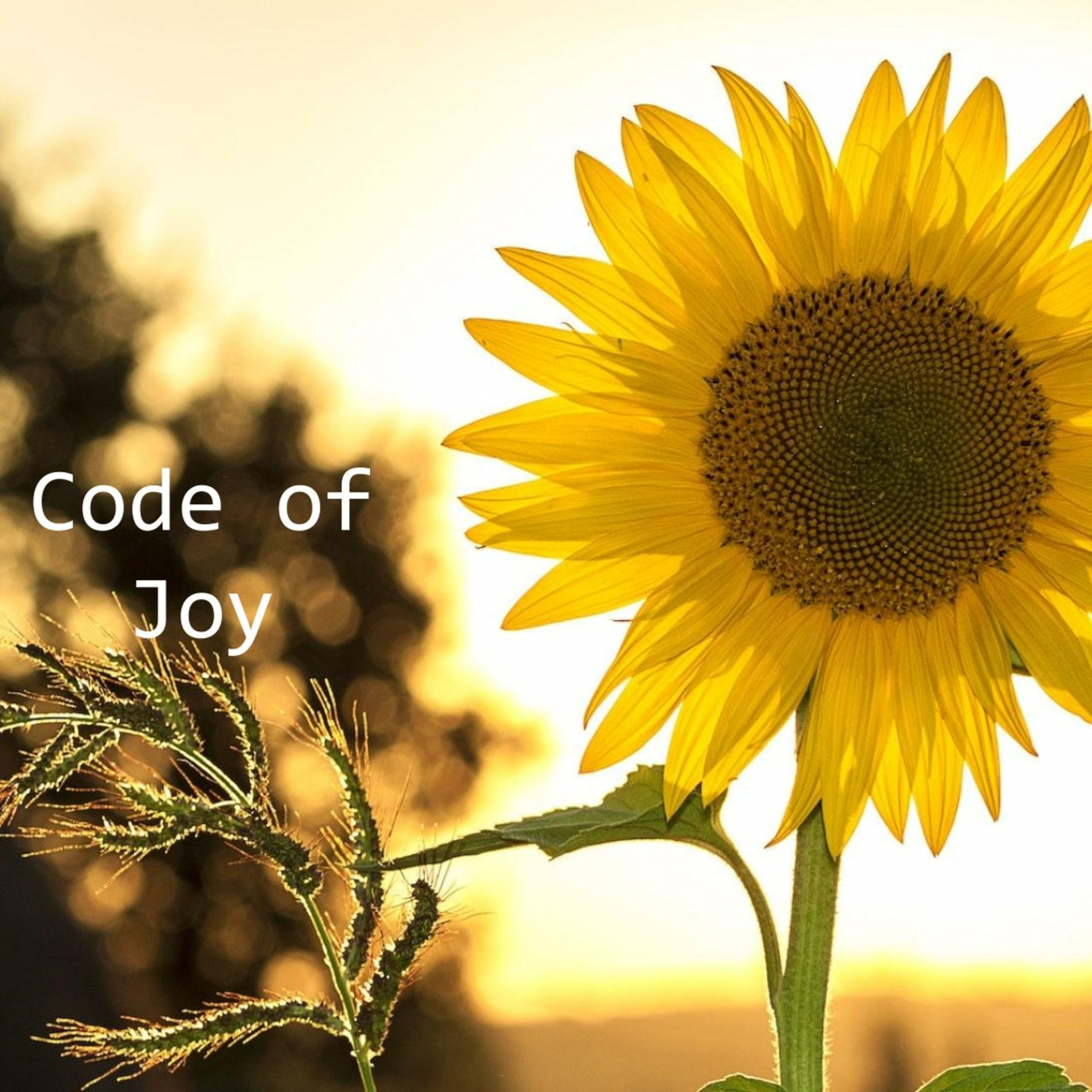 Shalveena RohdeCode of Joy