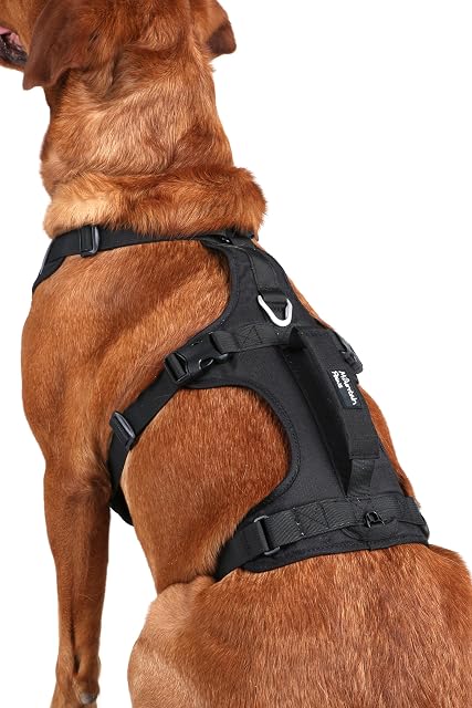 Foto 4 de 8 de Mountain Paws Arnés para Perro de 3 Correas, para Adaptarse a tamaños de