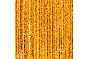 DIYANA IMPEX - Premium Artificial Marigold Garland for Decorations (5 Feet Long)