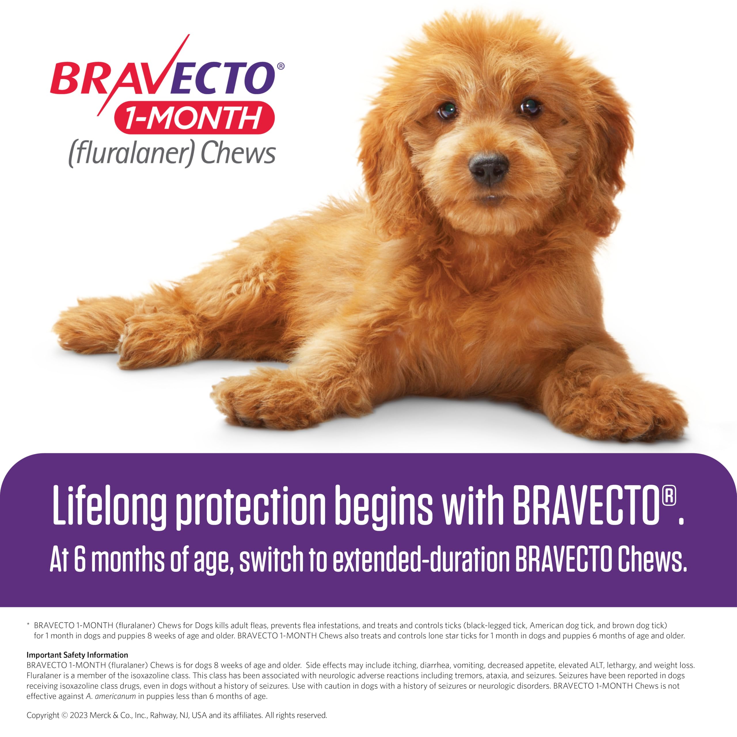 BRAVECTO Masticable para pulgas y garrapatas de 1 mes para cachorros, 1 masticable, suministro de 1 mes, 10-22 libras, caja naranja