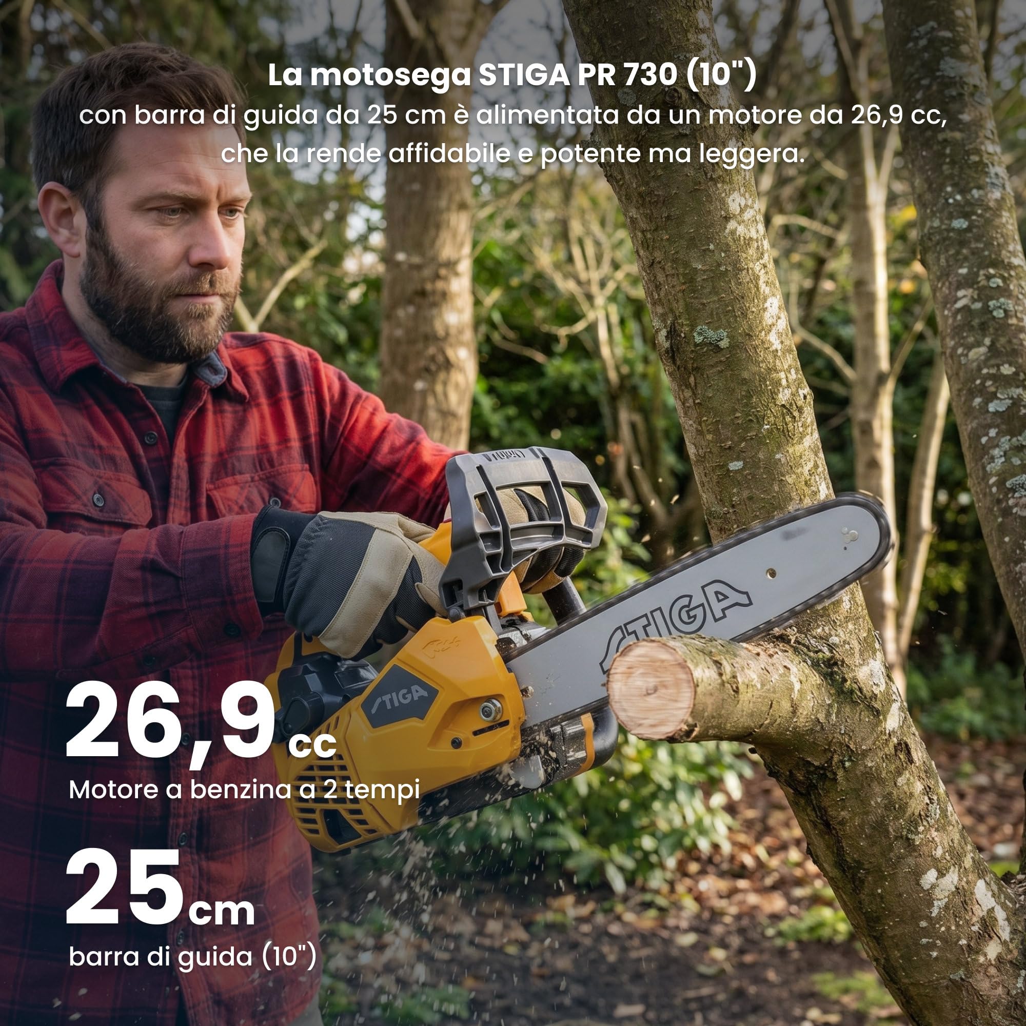 STIGA PR 730 10" Motosega A Benzina, 26.9 cc (0.7 kW), Barra 25 cm – Impugnatura Superiore, Sistema Antivibrazioni – Potatura/Arboricoltura