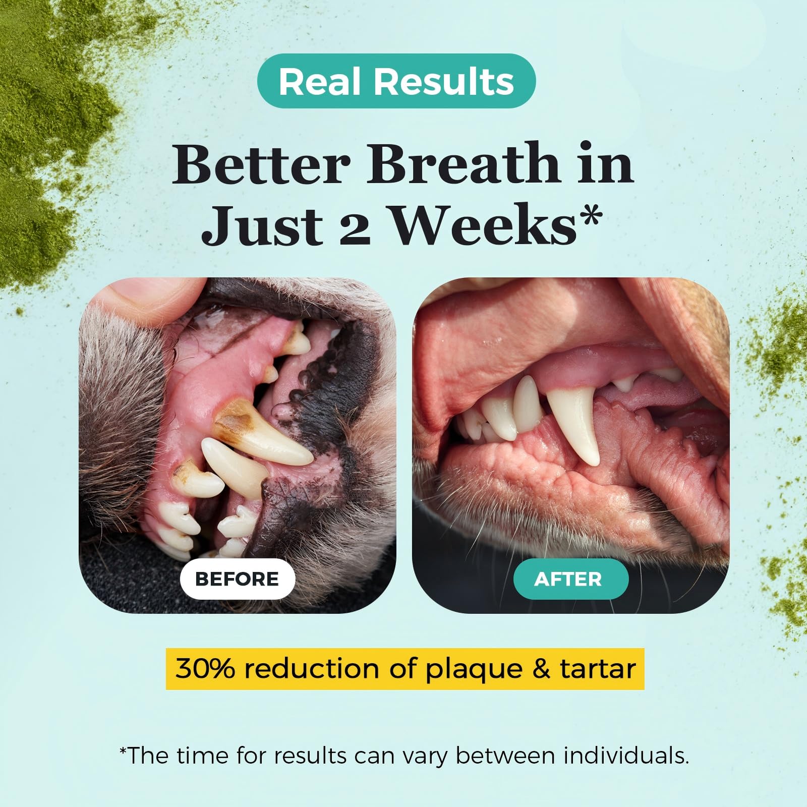 NATURE TARGET Polvo dental para perros, ayuda a dientes y encías saludables, 180 g