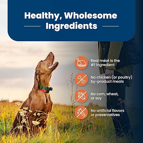 Miniatura 5 de Blue Buffalo Life Protection Formula Natural - Alimento seco para perros adultos de raza grande, con pollo y arroz integral, 15 libras