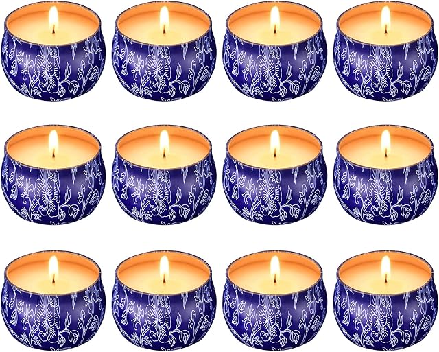 Aku Tonpa 12 x 125 Grams Citronella Candles Outdoor and Indoor Scented Candles Gift Set, Aromatherapy Soy Wax Candle in Portable Travel Tin