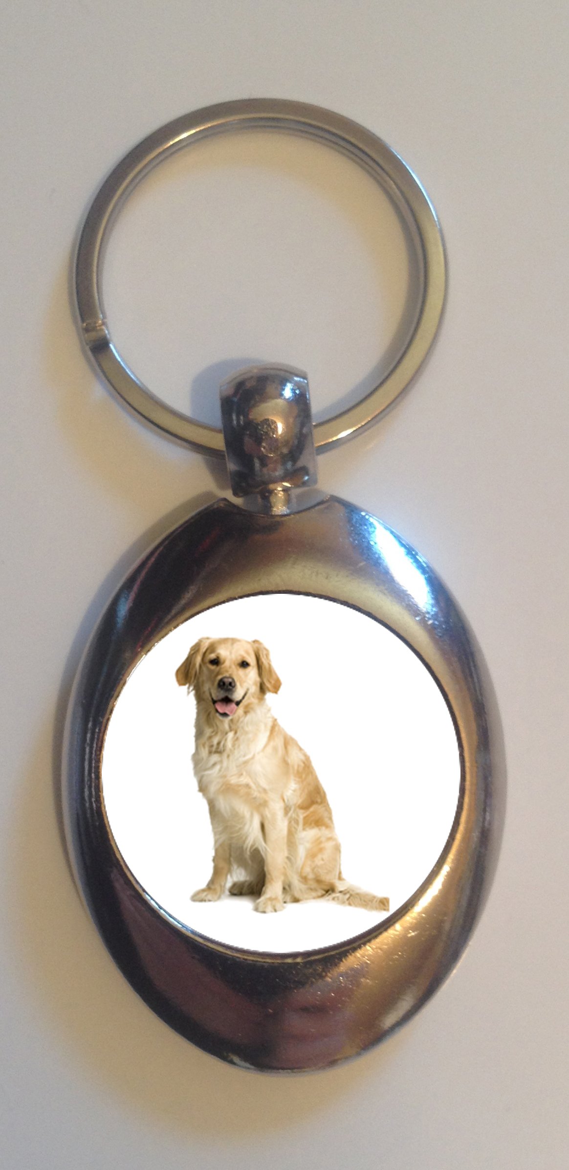 DottsMusic Labrador Retriever Dog - Shopping Trolley Token (£1 Coin) Keyring