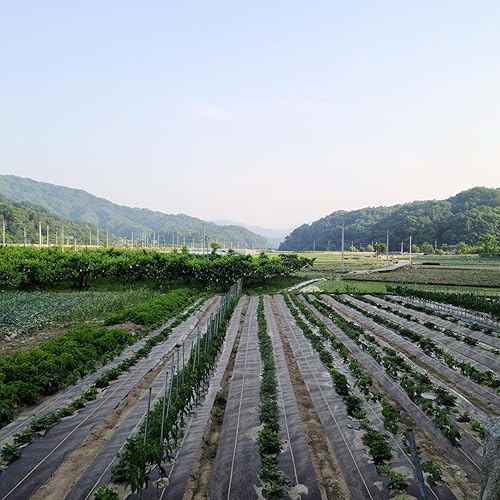 Miniatura 6 de Tela de barrera de malezas duradera de 6 x 100 pies, tela de jardinería resistente de 3.2 onzas, cubierta de suelo permeable para jardín, césped y