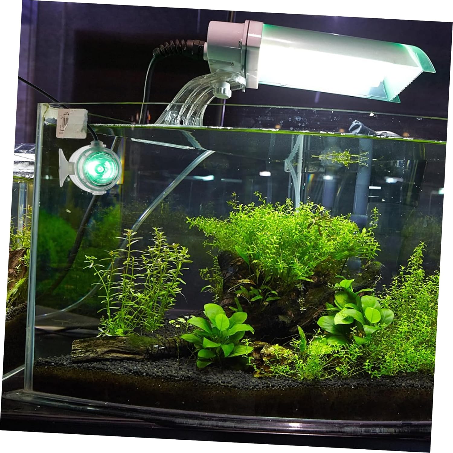 5pcs Fish Tank Spotlight Plant Lights Underwater Aquarium Spot Light Diving Fish Tank Supplies