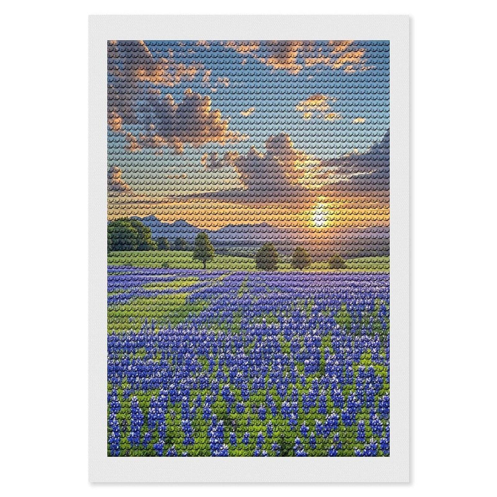 Texas Bluebonnets Scenery Diamond Painting Kits for Beginners DIY Diamond Art Kits for Adults Full Drill Round Diamond Dot Gem Art Painting Fun DIY Crafts for Home Kitchen Wall Decor Gift 8"x12"