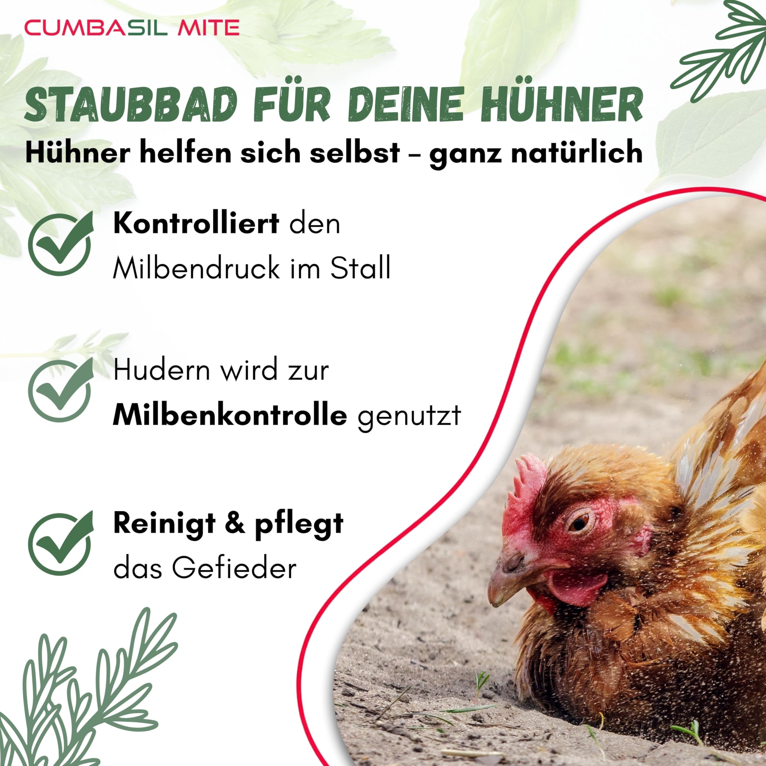 Starter Pack Mite Staubbad für Hühner 15kg - Sandbad Pulver gegen Milben, Milbenmittel Hühner, natürlicher Milbenschutz, Puder