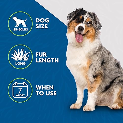 Vista 33 de FURminator - Herramienta de eliminación de pelaje y champú premium para perros, elimina el pelo suelto, combate el exceso de desprendimiento