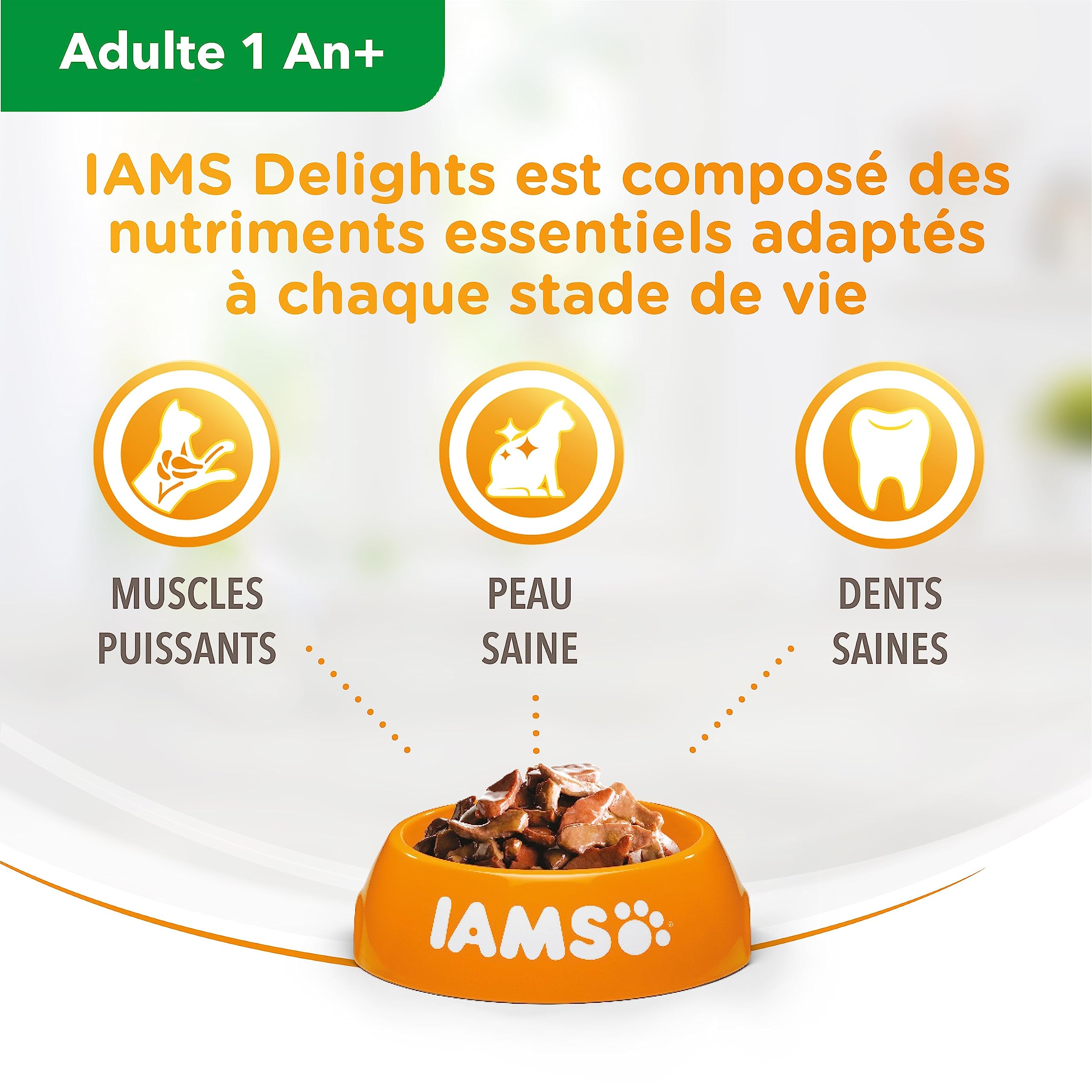 IAMS Chat Adulte Nourriture Humide en gelée Mer Sea Collection 12 sachets x 85g