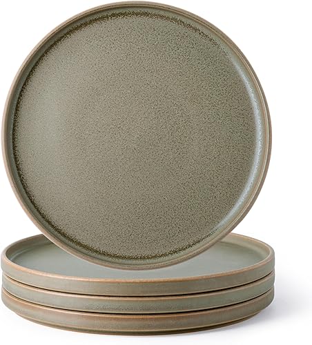 AmorArc Juego de 4 platos de cerámica para ensalada, juego de 4 platos reactivos de esmalte mate de 8.0 pulgadas, postre, ensalada, aperitivo, plato