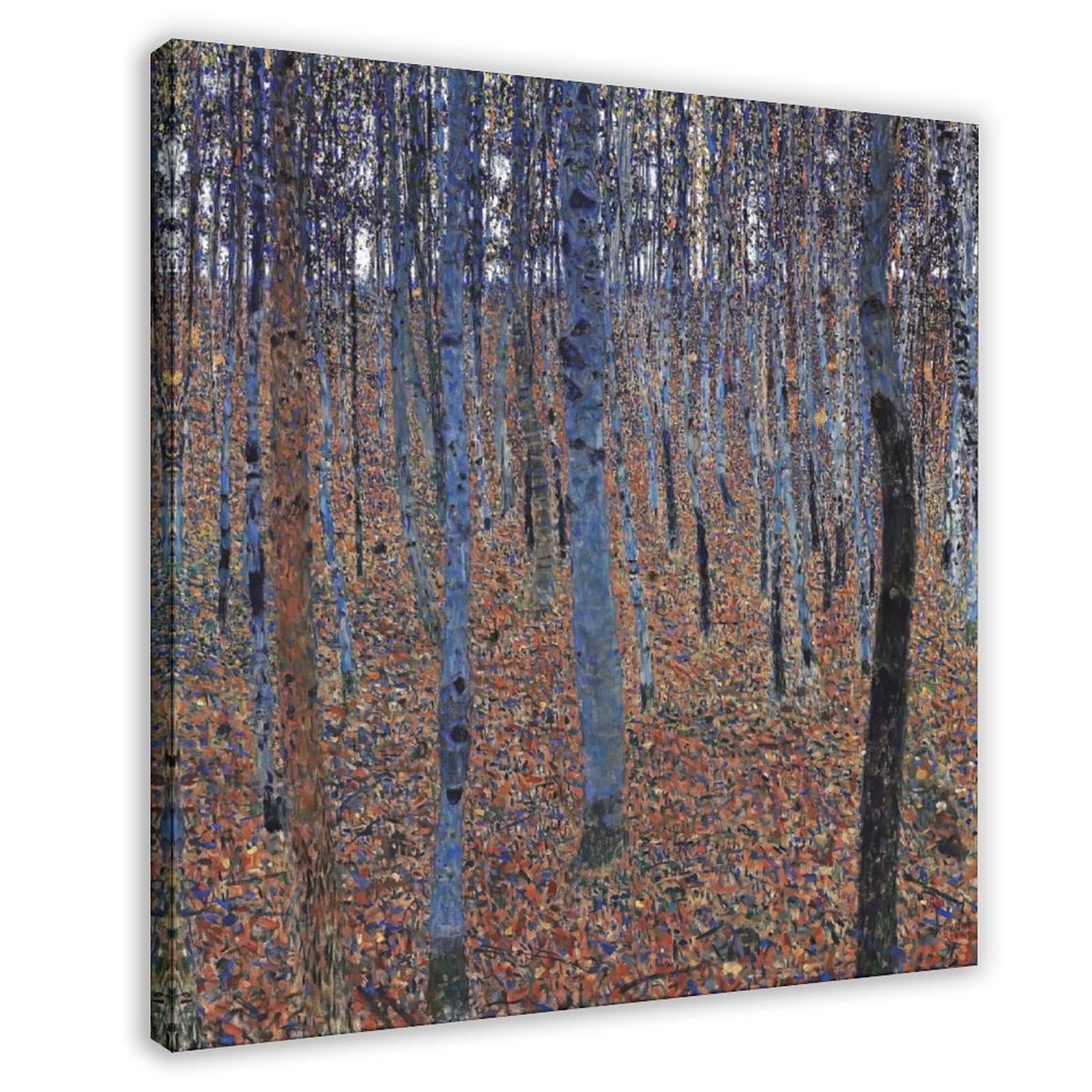 WCYB Beech Grove L by Gustav Klimt Posters Prints Canvas Deco Paintings Wall Art Frame 28" L X 28" W