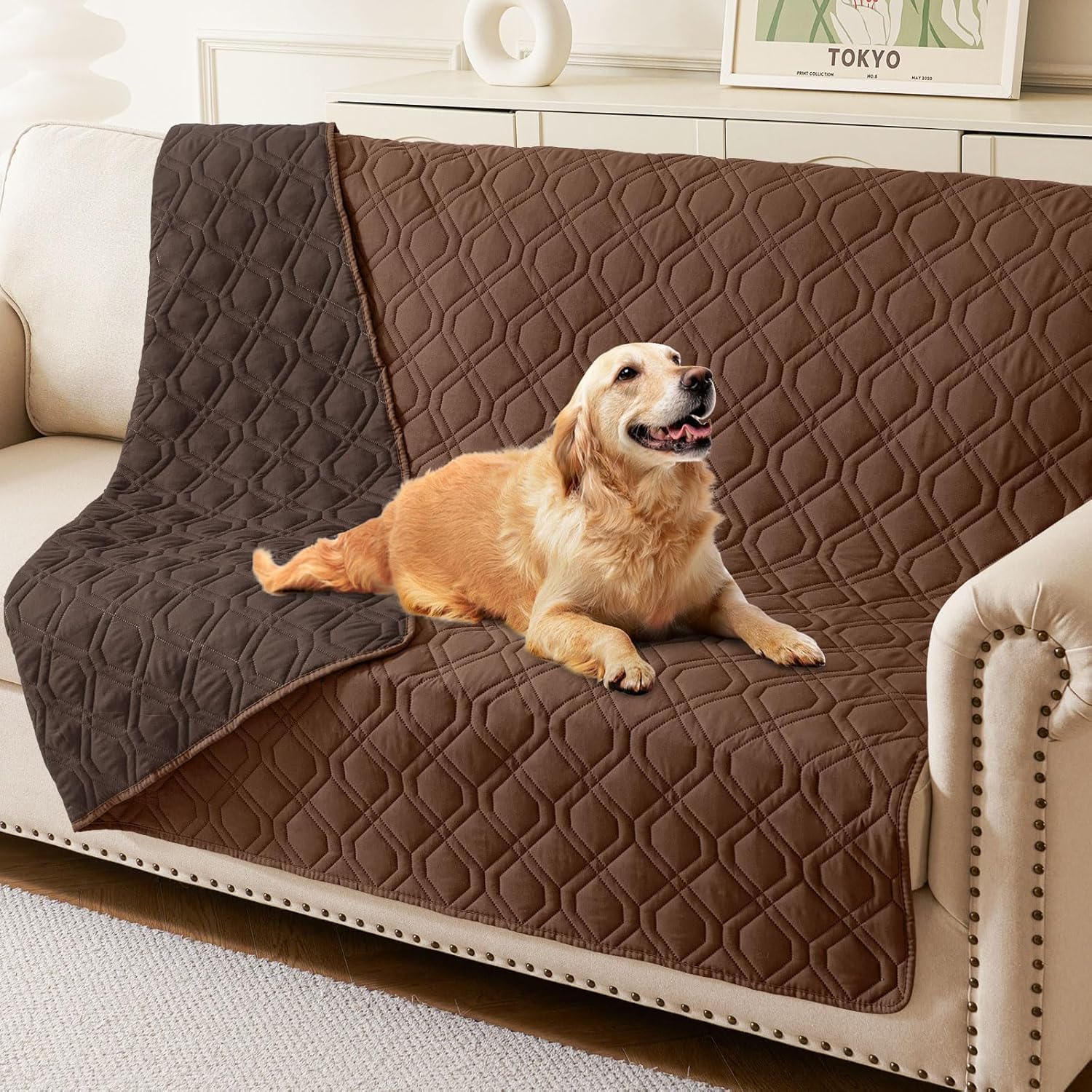 Homaxy Hundedecke Wasserdicht,Hundematte Outdoor Waschbar, Wendedecke Hunde Decke, Weich Katzendecke für Sofa Couch Bett Unterwegs