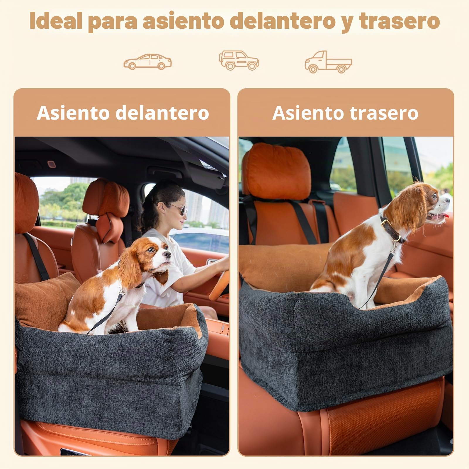 Avont Asiento de Coche Elevado para Perros Pequeños y Medianos de hasta 13 kg, Cama de Viaje para Mascotas con Cojín Grueso, Funda Desmontable y Lavable, Asiento de Seguridad Cómodo para Coche-Negro