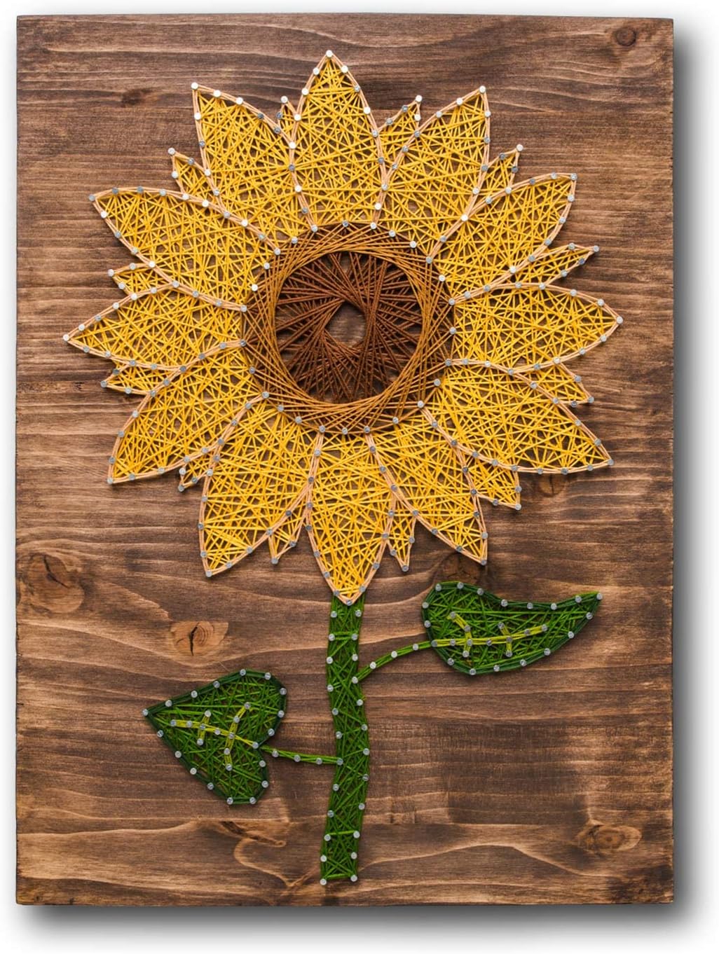 String of the ArtSunflower String Art Kit, American Made DIY Craft Kit for Adults, Stained Pine Wood (16" x 12"), Embroidery Floss, for Beginner to Advanced Crafters, Craft a Handmade Gift