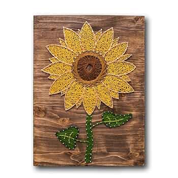 【新品】ストリングアート 製作キット 気球 string art Amazon.co.jp: 1セット 鳥の巣 糸かけ ストリング アート キット