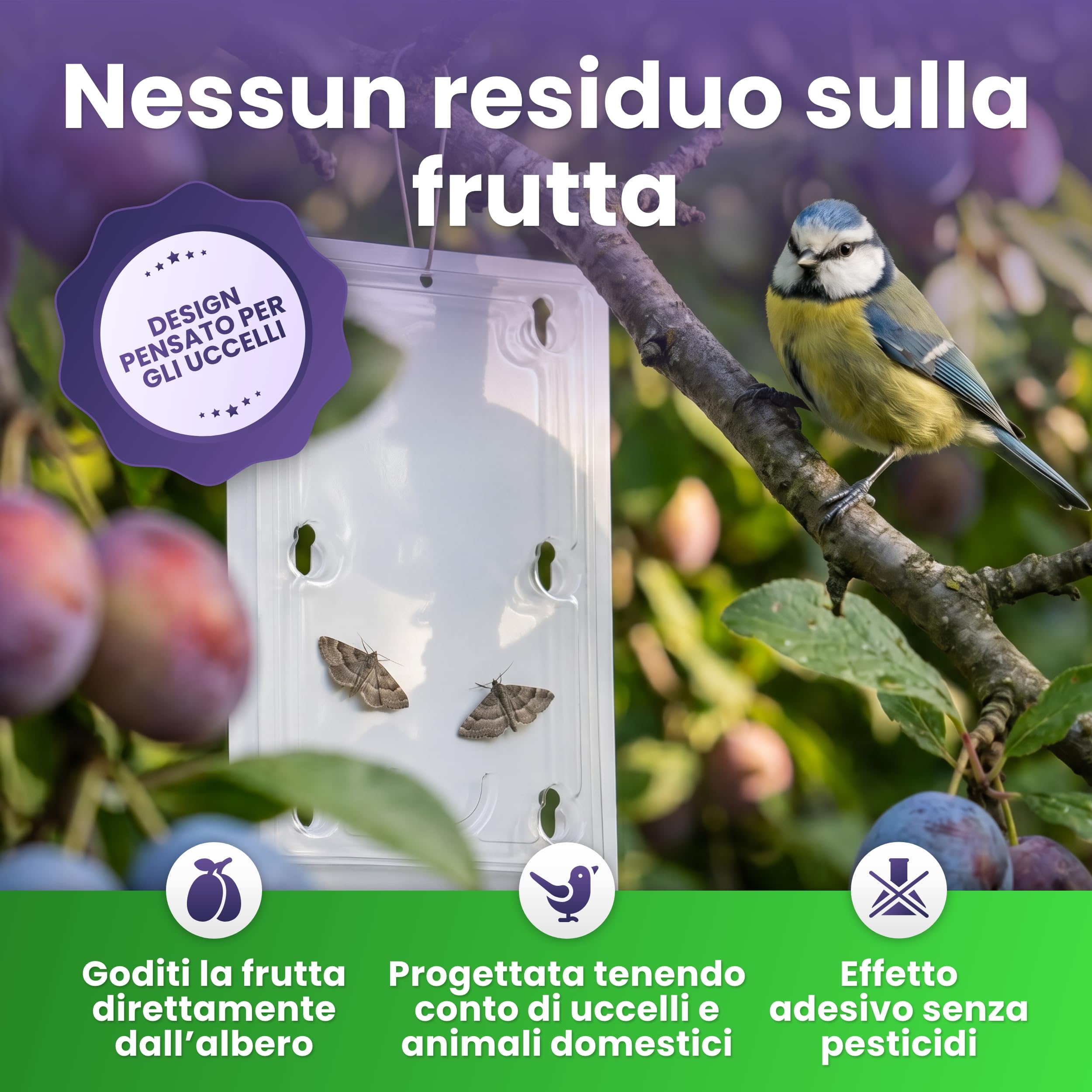 Trappola per prugne – Set di 2 trappole per prugne e alberi di prugne – Trappola per feromoni contro le mosse della frutta – Atossica e bioconforme – Combatte efficacemente l'avvolgitore