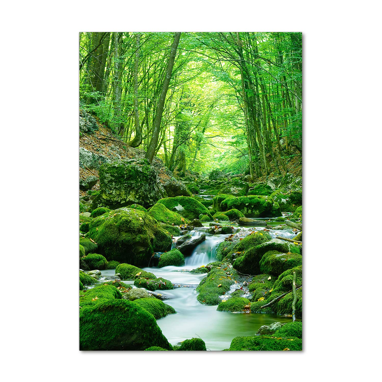 Tableaux pour la mur en verre acrylique Tulup 70x100 cm paysage jungle