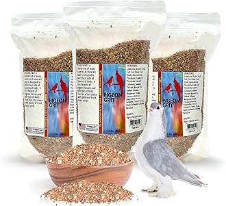 Morning Bird Pigeon Grit - Healthy & Nutritious Pigeon Food to Supports Strong Muscles & Bones for All Bird Species - Easy to Digest & Packed with Natural Supplement, 4.5 lbs (3-Pack, 1.5 lbs Each)
