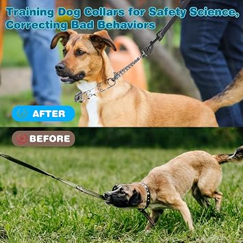 Prong Collar for Dogs,Dog Training Collar with One Training Leash | Adjustable Pinch Collar with Quick Release Metal Buckle, No Pull Choke Collar for Small Medium Large Dogs(Silver, M/L)
