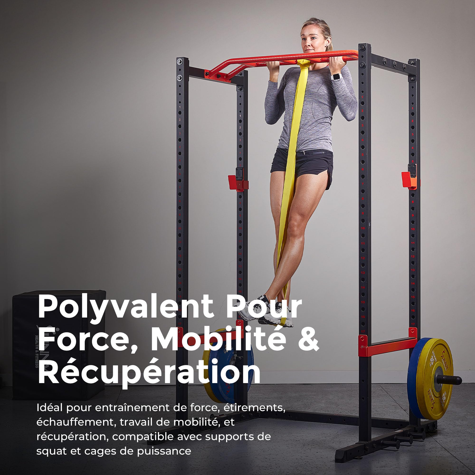 Sunny Health & Fitness Kit de Bandes de Résistance 2 à 43 kg | 7–43 kg Résistance Cumulable, Musculation, Étirements, Rééducation, Écologique, Non Toxique, sans Odeur